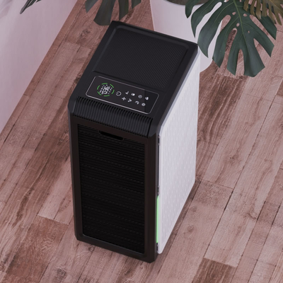Large Room True Hepa Filter Air Purifier And Humidifier Combo For Mold