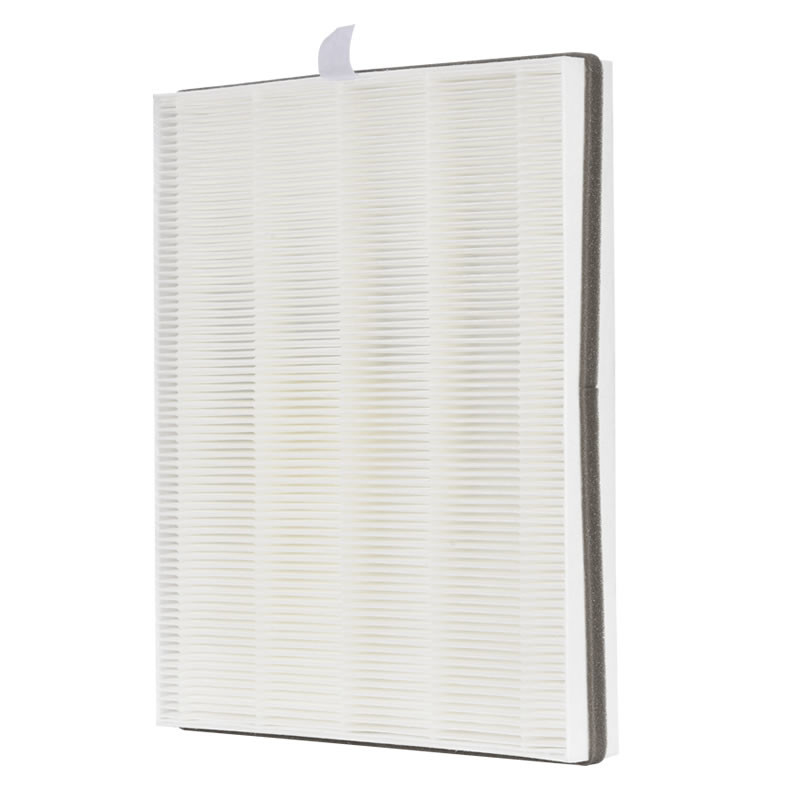 Customized Replacement Removal Hepa Air Filter for item 1114
